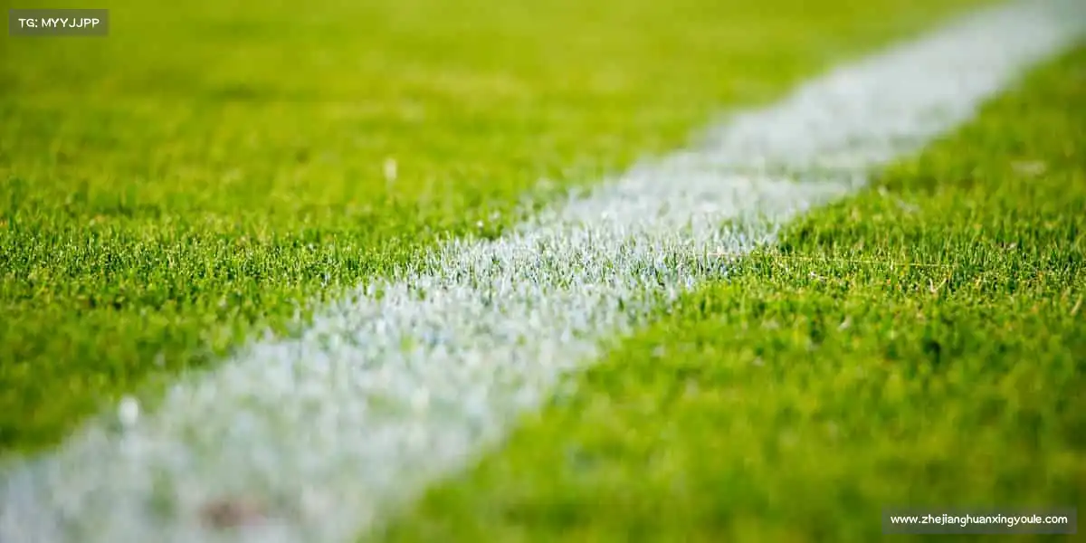 我们的核心竞争力